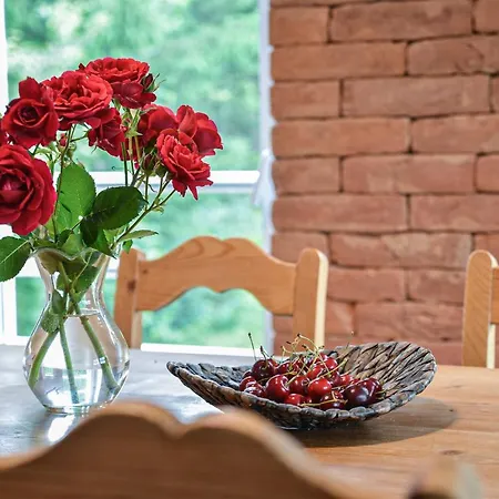 Terrace Appartement
