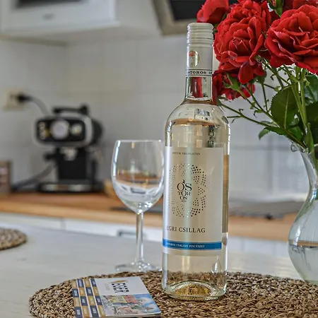 Terrace アパート エゲル