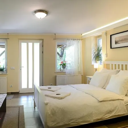 Terrace アパート エゲル